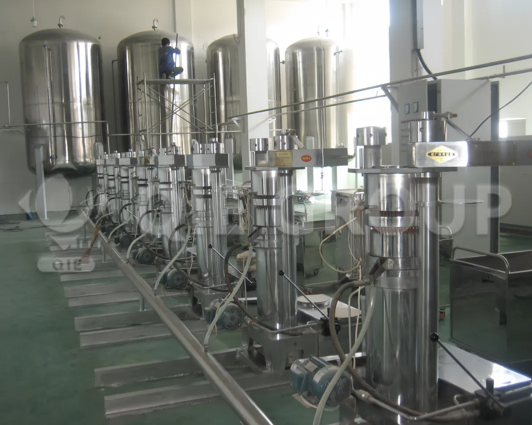 Cold press hydraulic walnut oil press