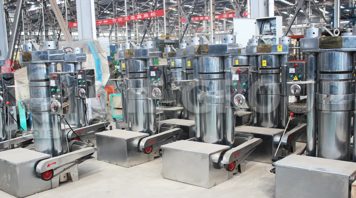 Cold press oil machine for premium edible oil production