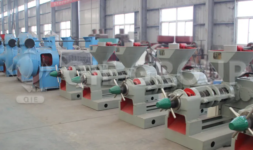 Cold press edible oil production line preserving nutrients