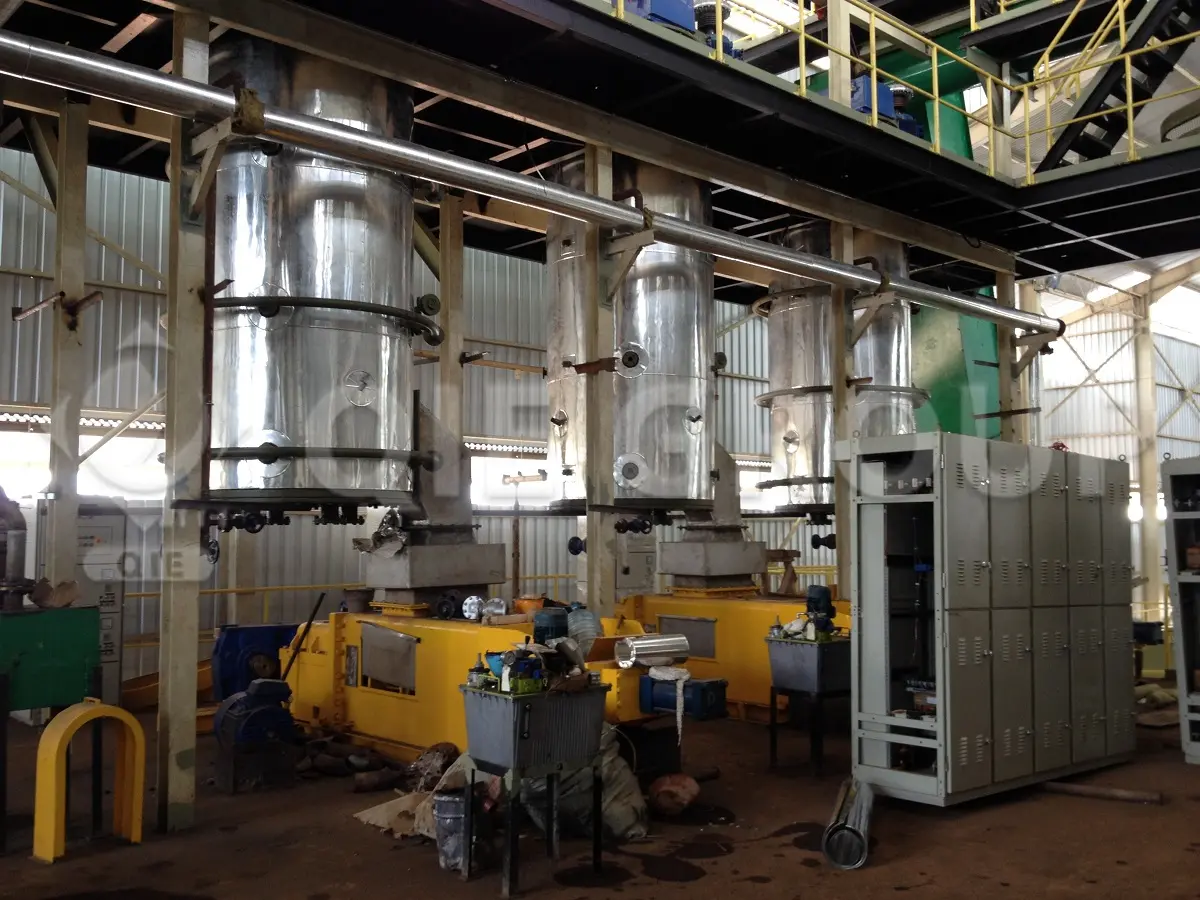 Twin screw palm fruit oil press machine by QIE Group for high-efficiency oil extraction
