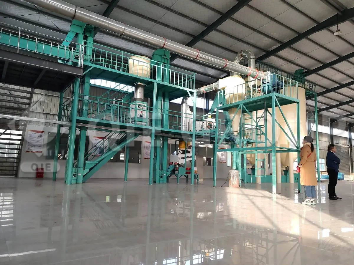 Peanut oilseed processing equipment including cleaning and flaking