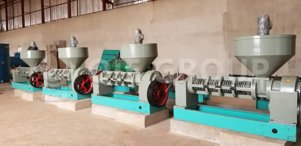 Screw oil press is used to produce high quality edible oil