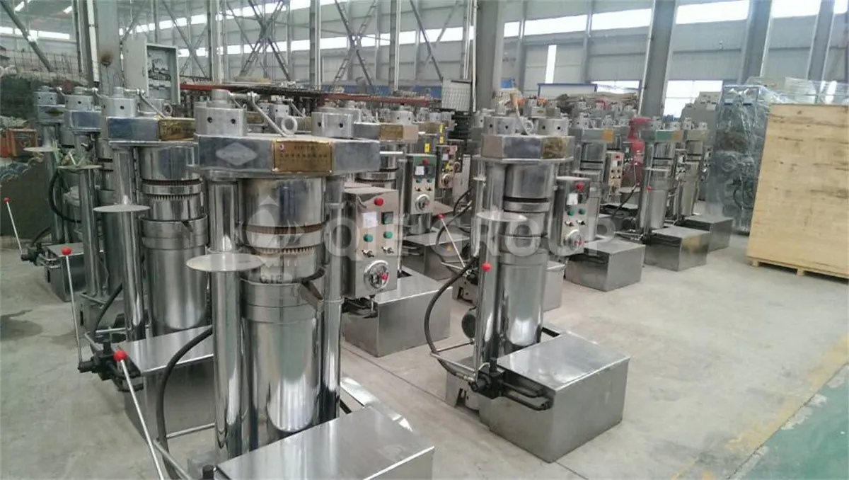QIE Group walnut hydraulic oil press, high-quality cold pressing equipment