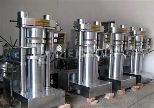 Walnut cold pressing hydraulic oil press to ensure the quality of cold pressed pure walnut oil