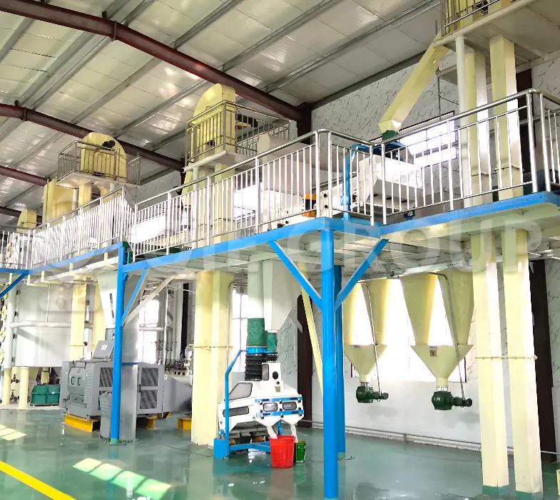 Taller de pretratamiento de manteca de karité para una extracción eficiente del aceite