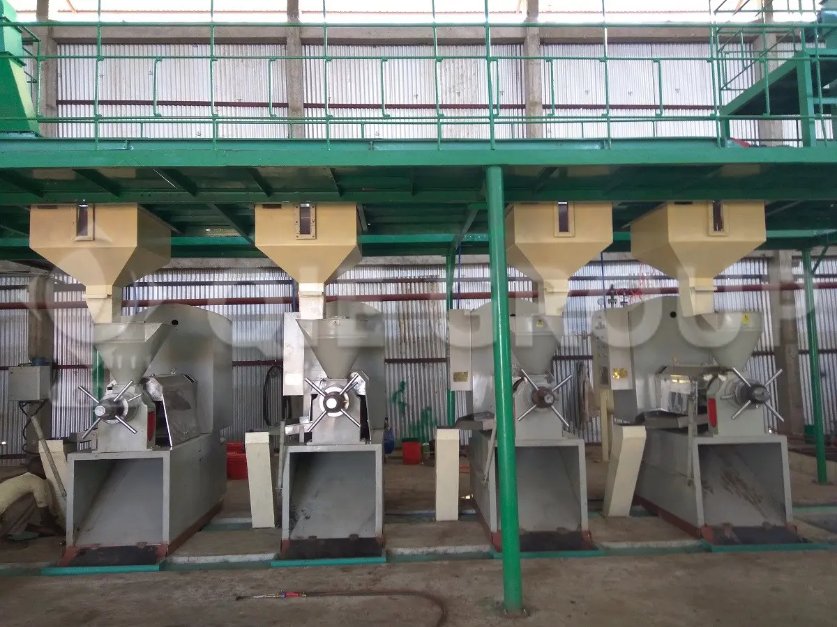 sunflower-seed-screw-oil-press-machine-2.webp
