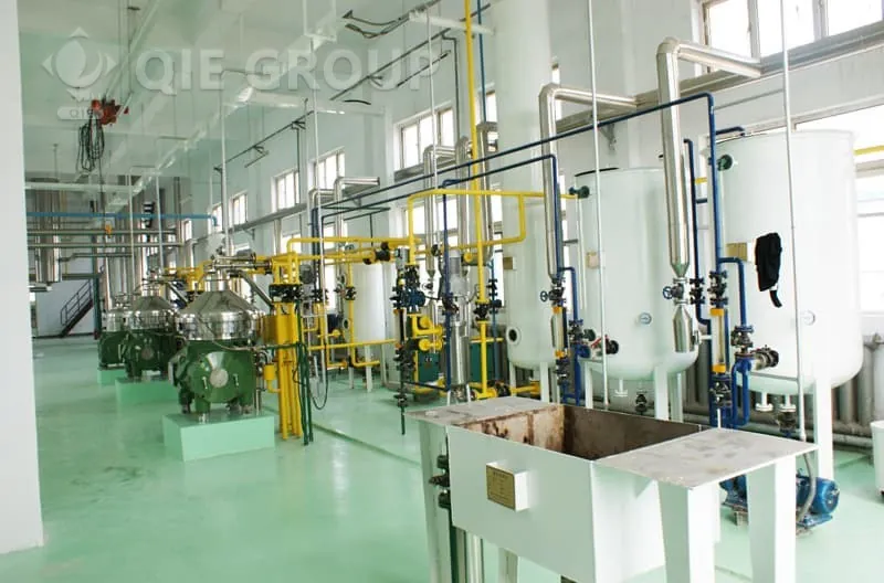edible-oil-refining-workshop-4.webp