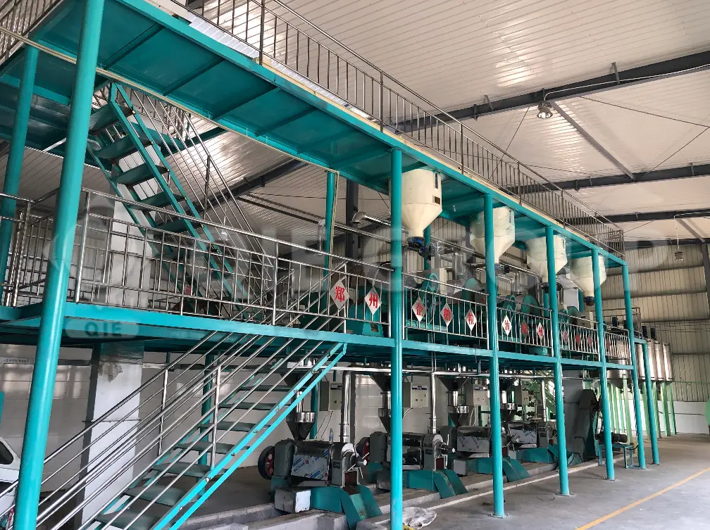 Complete all preparations in the rapeseed pretreatment workshop before pressing or solvent extraction.