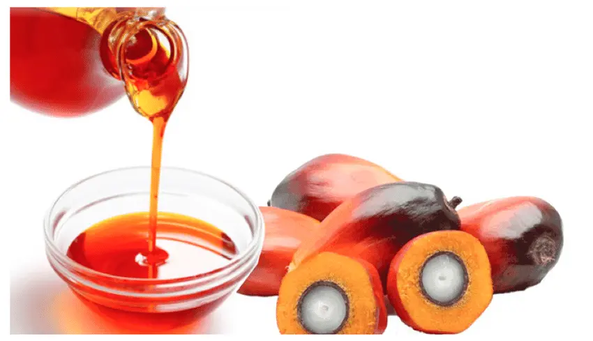crude-palm-oil-3.webp