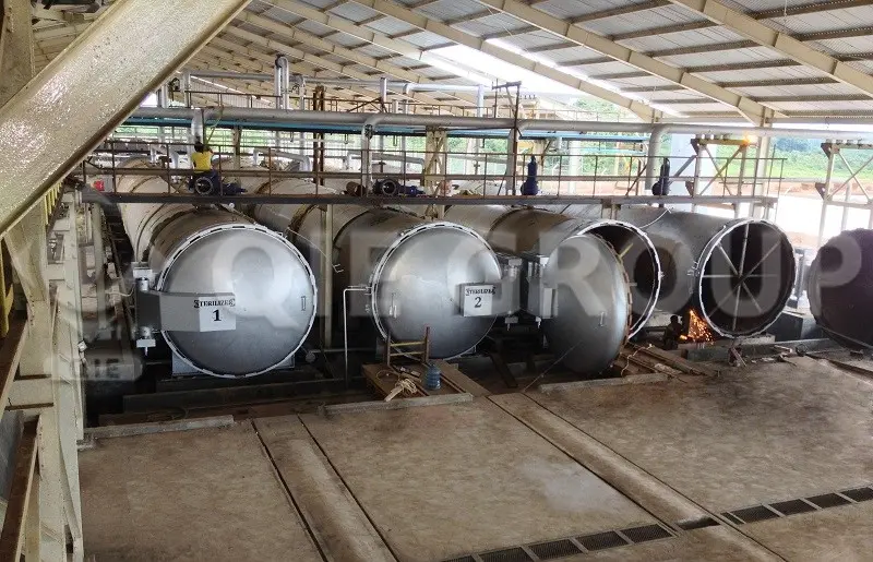 油棕果实灭菌器，应用于棕榈油加工厂的初级加工过程，用于灭活酶并提高油品质量。
