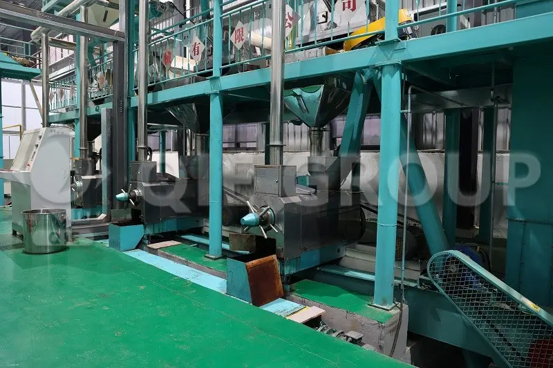 Rapeseed oil pressing workshop designed by QIE GROUP, featuring an industrial pressing line with high oil yield and stable continuous operation.