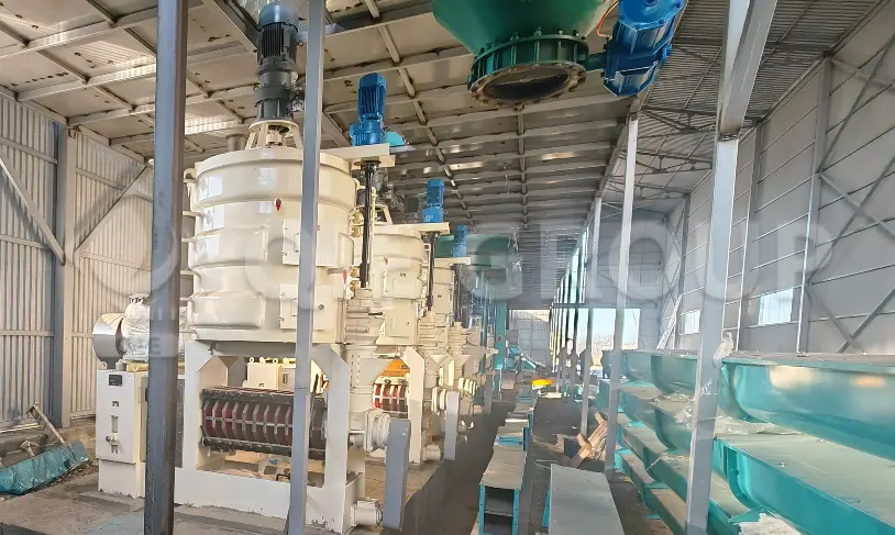 采用机械压榨工艺的葵花籽油压榨车间。