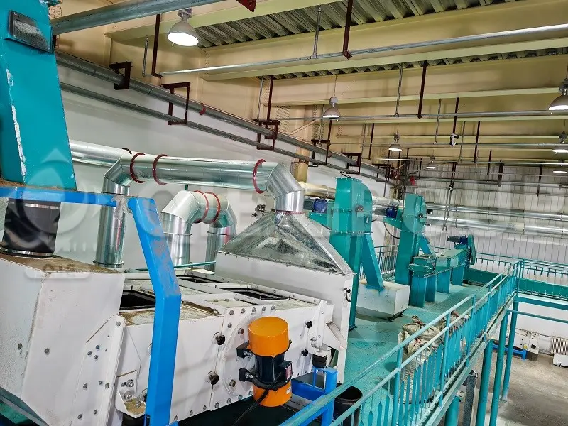 Vibratory cleaning sieve for the pre-treatment of sesame seeds, which removes impurities and stones before oil pressing.