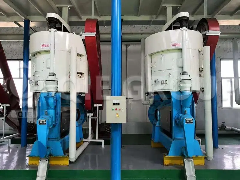 La prensa de aceite de tornillo del Grupo QIE se utiliza para producir aceite de linaza, es apta para prensado en frío y prensado en caliente, y se caracteriza por un funcionamiento estable y un alto rendimiento de extracción de aceite.