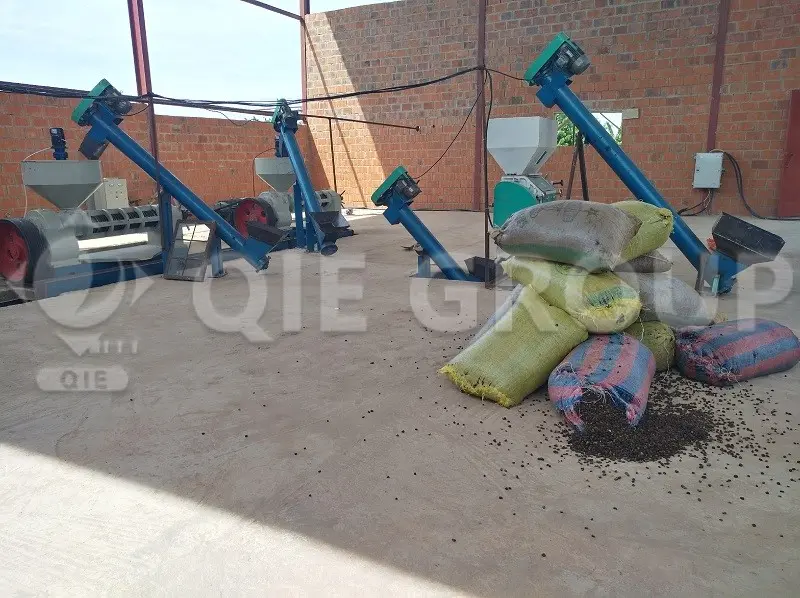 Screw oil press for oil from palm kernels, designed for high oil yield and stable continuous operation.