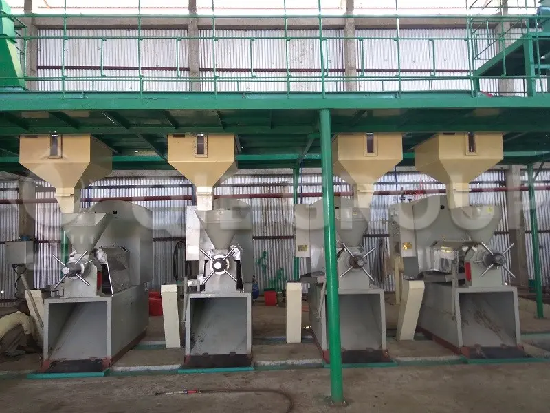 An oil screw press for mechanically extracting oil from peanuts, soybeans, and sesame seeds.