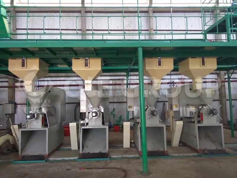 Prensa de tornillo de aceite de palmiste, utilizada para la extracción mecánica de aceite