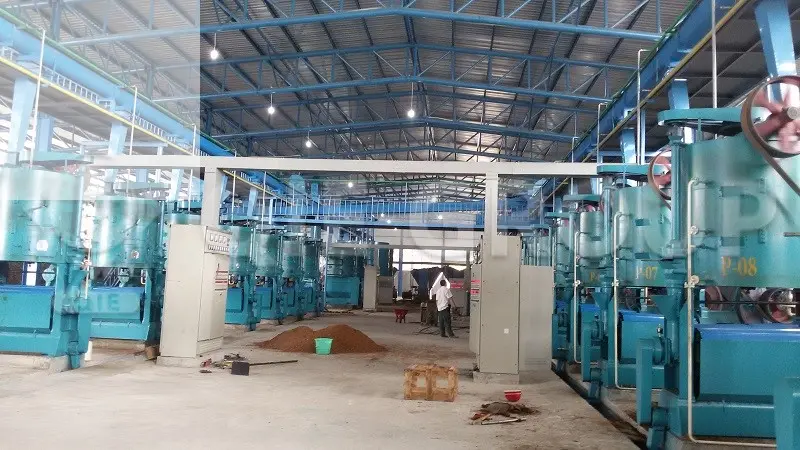 Оборудование для экстракции кокосового масла демонстрирует процесс извлечения масла под высоким давлением с помощью шнекового пресса.