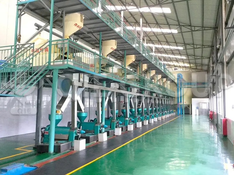 配备完整生产线和螺旋压榨机的菜籽油压榨生产车间。