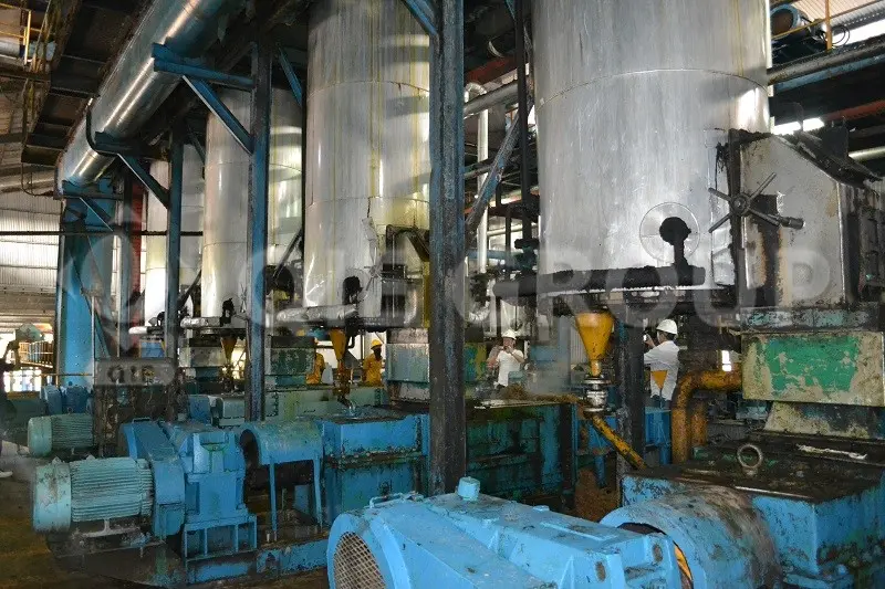 Цех прессования пальмового масла оснащён двухшнековым механическим маслопрессом и транспортной системой для обеспечения эффективного извлечения масла.