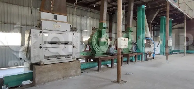Atelier de prétraitement des graines de moutarde, couvrant les opérations de nettoyage, de conditionnement et de floconnage avant l’extraction d’huile.