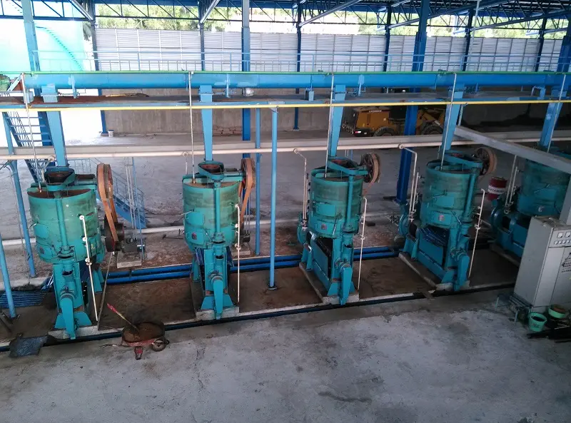 Coconut oil pressing equipment is used to efficiently extract vegetable oil from dried coconuts.