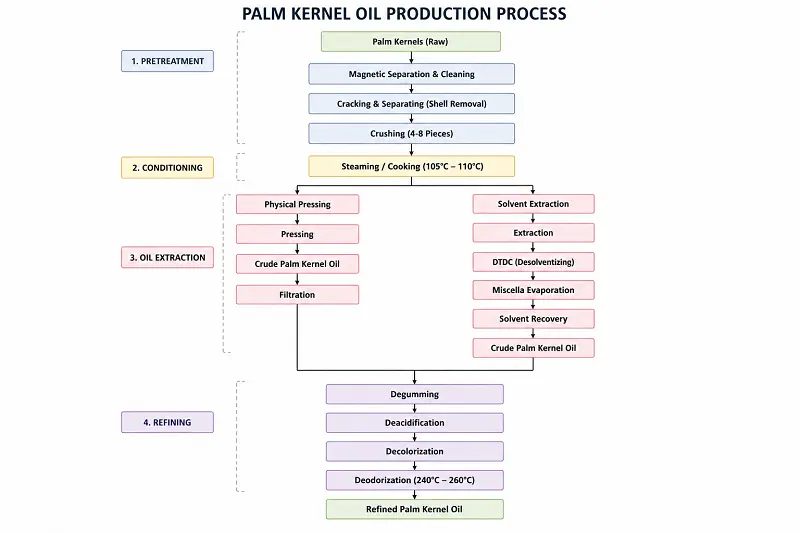 Diagrama de flujo del proceso de producción de aceite de palmiste, que muestra las etapas de pretratamiento, prensado o extracción con solventes y refinación en una planta de procesamiento de aceites y grasas.