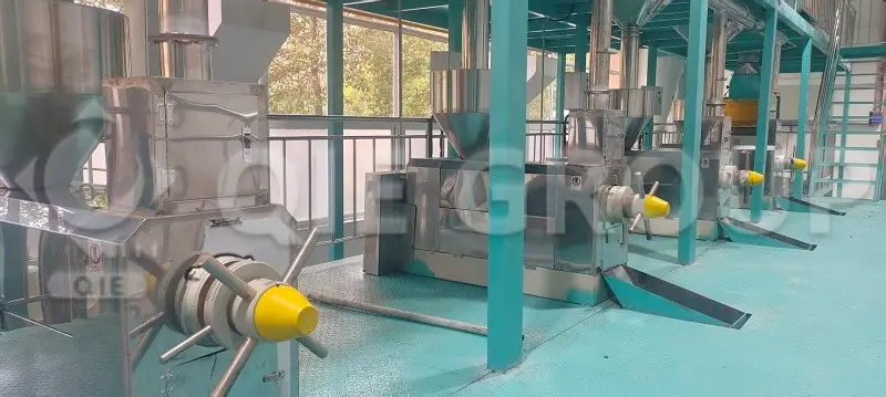 آلة عصر زيت صناعية لمصنع استخراج زيوت الطعام