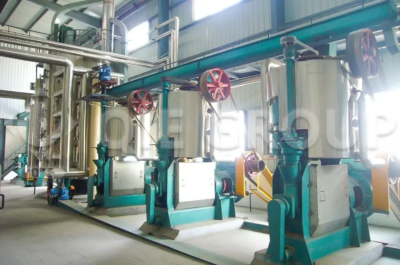 Industrial rapeseed oil pre-press machine for high-efficiency mechanical oil extraction