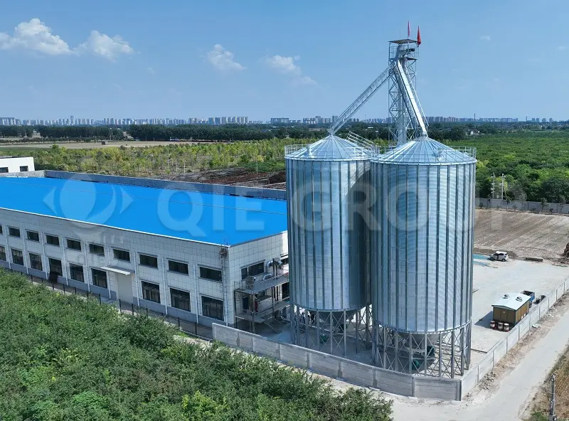 Planta integral de preprensado y extracción por solvente de semillas de girasol, diseñada por QIE GROUP.