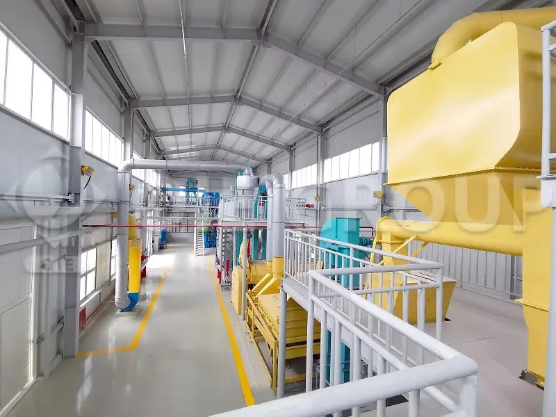 Cottonseed oil pressing workshop equipped with continuous screw oil presses and cake discharge conveyors