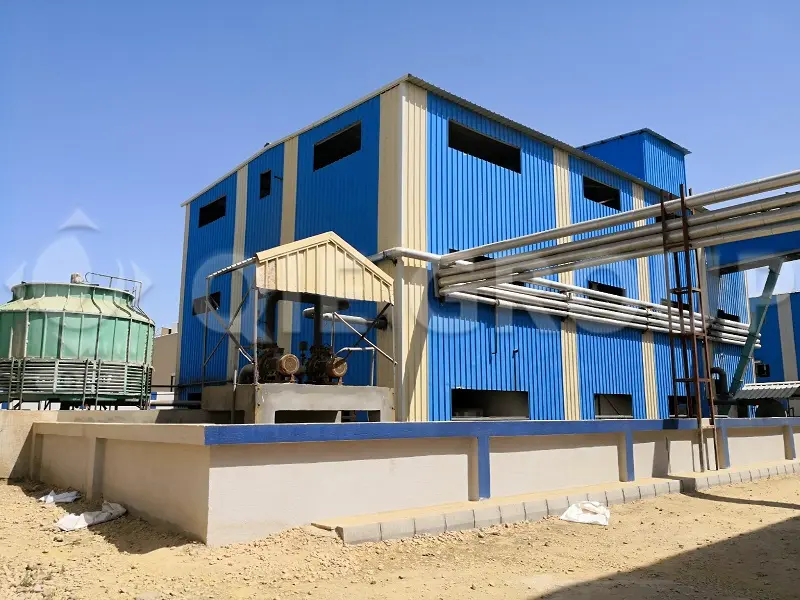 300 TPD Soybean Processing Project in Africa