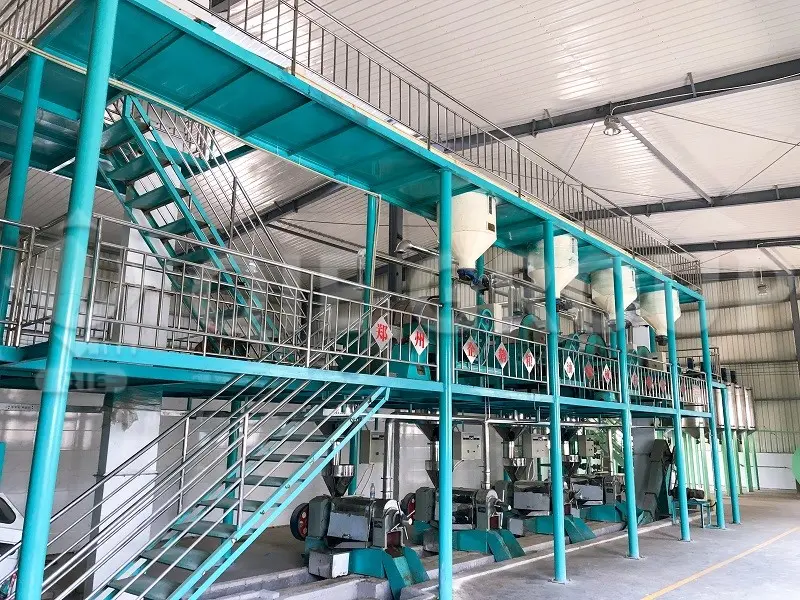 120tpd-rapeseed-oil-pressing-workshop.webp