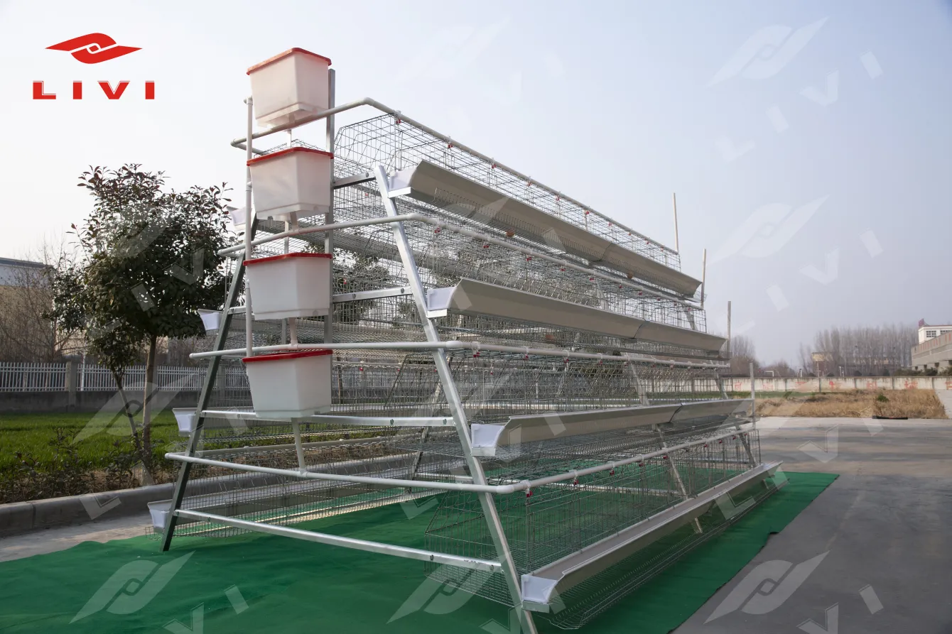 高效能A型层鸡电池笼