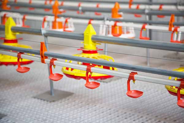 自动饮水系统设备