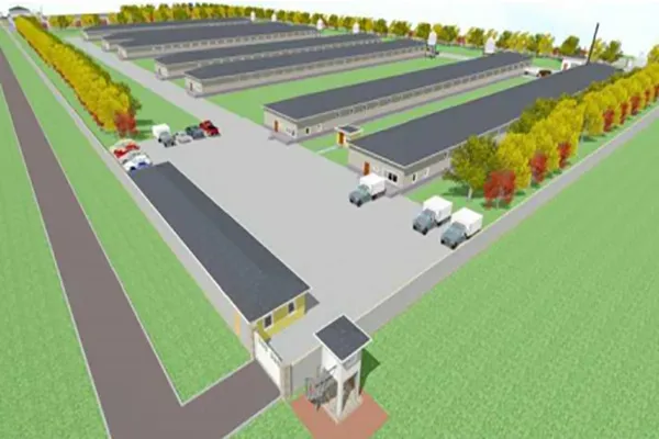 solution-of-300000-layers-in-a-poultry-farm.jpg