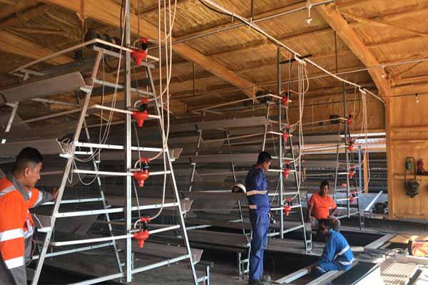Diagram showing proper lubrication points on an automated chicken cage manure system