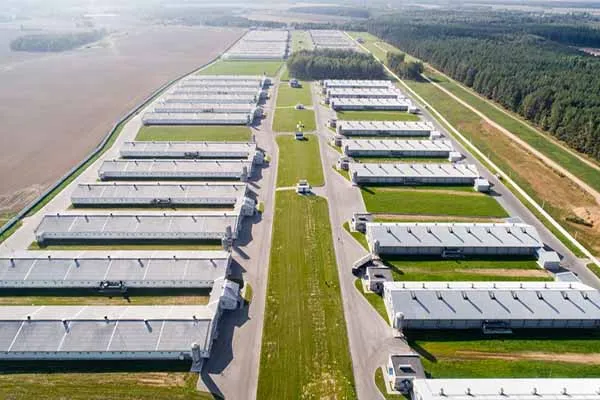 how-much-land-is-needed-for-5000-chicknes.jpg