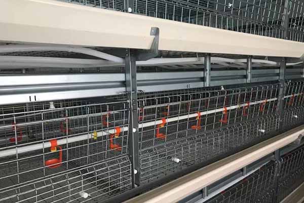 坦桑尼亚鸡舍内H型自动层叠电池笼设备全景，展现大型养殖场的高效管理