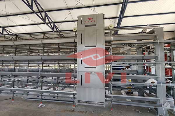 Innovative smart poultry farming technologies with IoT sensors and automated systems