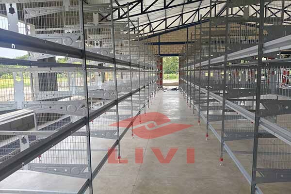 Farm equipment technician performing preventative maintenance on automated layer cage system