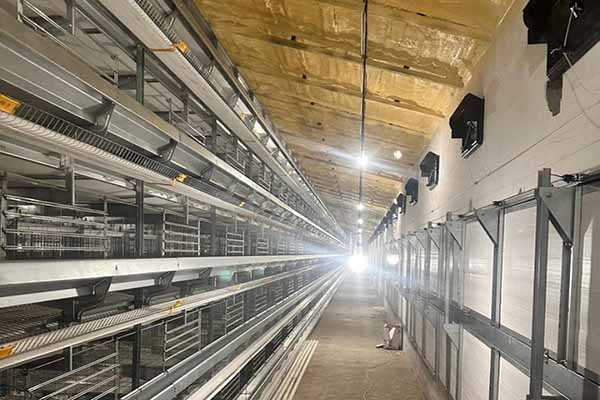 Resultados de producción y reducción en costos operativos con jaulas H