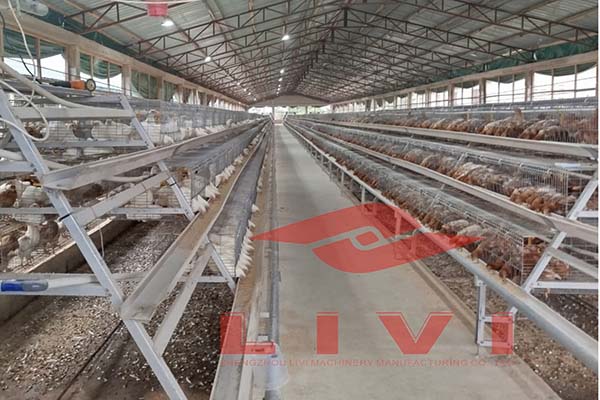 Operarios verificando el sistema automatizado y calidad de las jaulas A Tipo en planta de producción