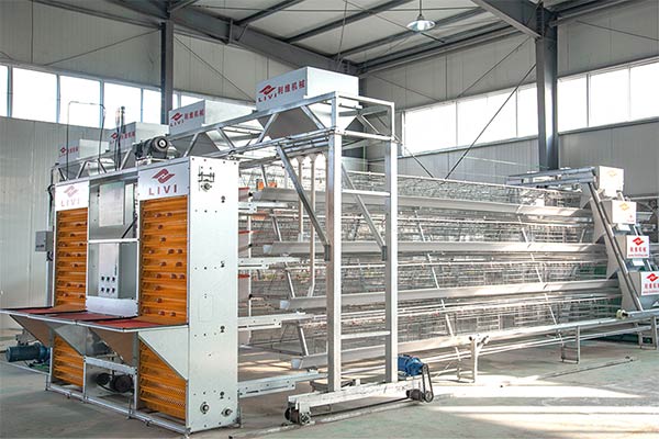 Esquema ilustrando a circulação de ventilação avançada no sistema de gaiola H para galinhas