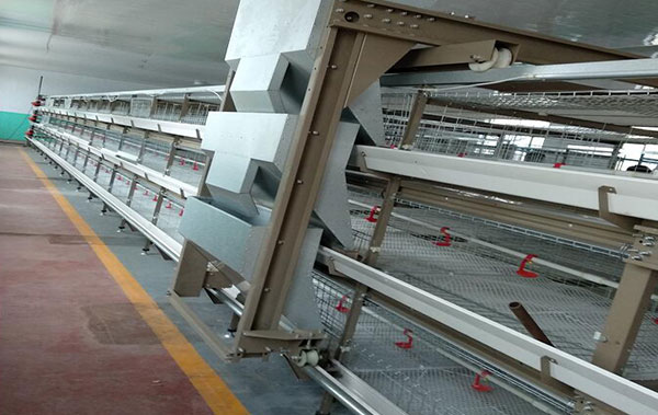 Diseño estructural comparativo: jaulas H versus jaulas tradicionales