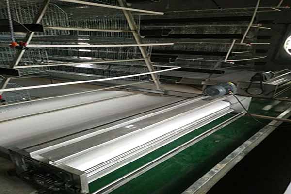 Схема обслуживания и проходы в H-тип автоматических клетках для несушек