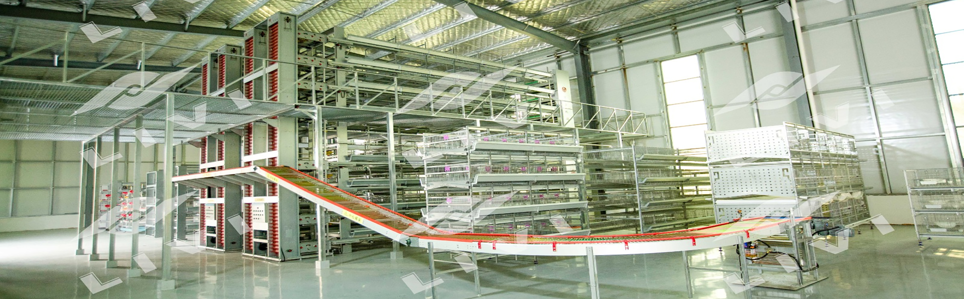 livi poultry farm equipment for sale