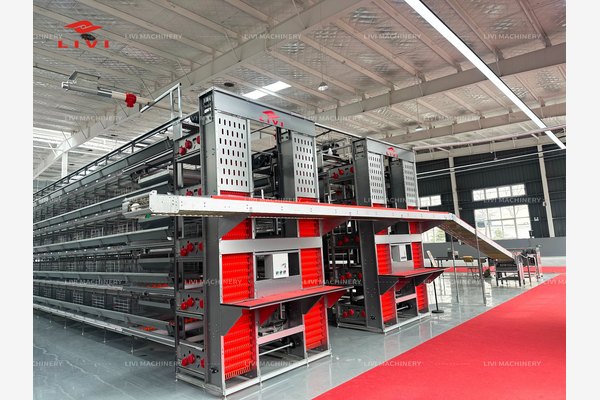 LIVI automated poultry cage system