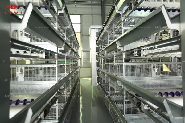 H-type layer cage rows and central service aisle.