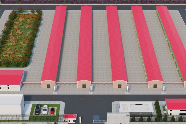 LIVI poultry farm planning project